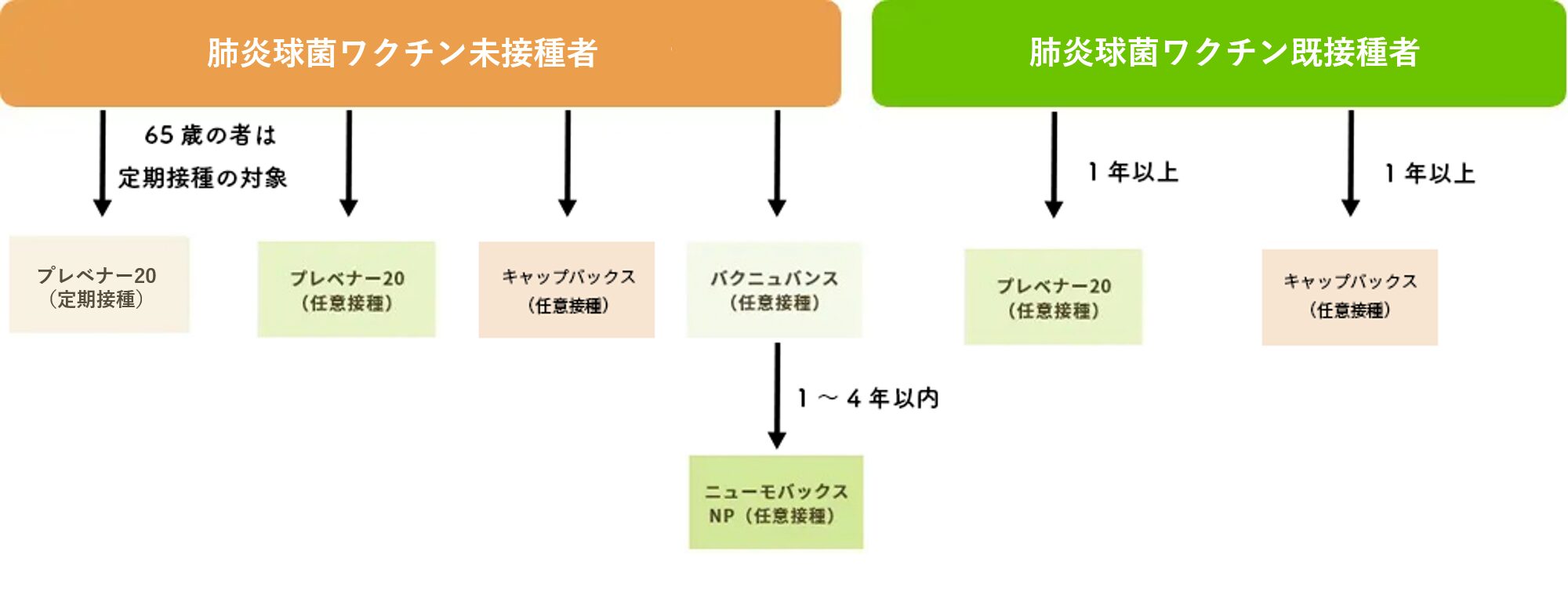 肺炎球菌ワクチン 表