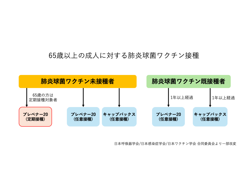 65歳以上の方を対象とした肺炎球菌ワクチン定期接種のフローチャート図